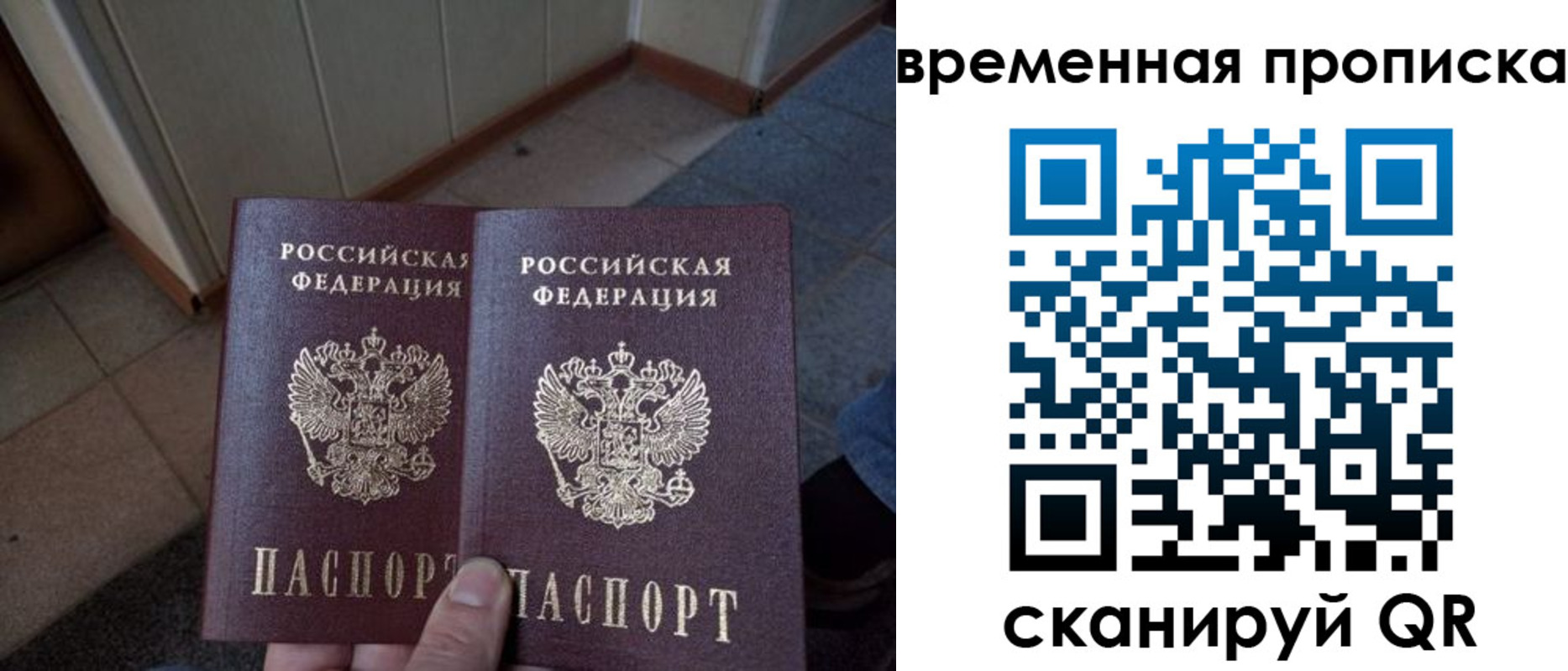 прописка поиск в Асбесте